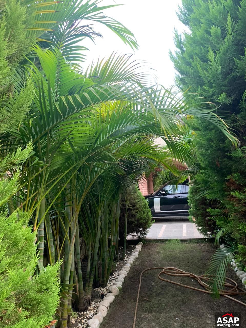 Villa for Sale in North Coast , Marassi