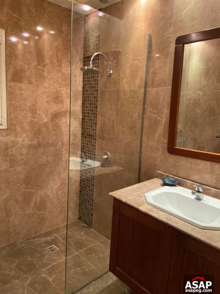 Apartment for Rent in Zamalek Apartment for Rent in Zamalek