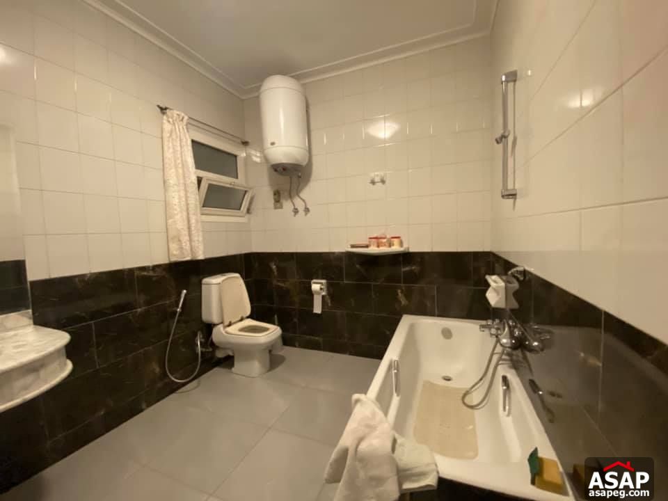 Apartment for Rent in Zamalek Apartment for Rent in Zamalek