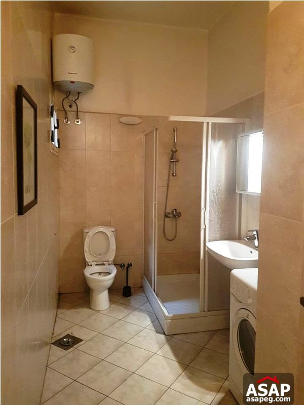 Apartment for Rent in Zamalek