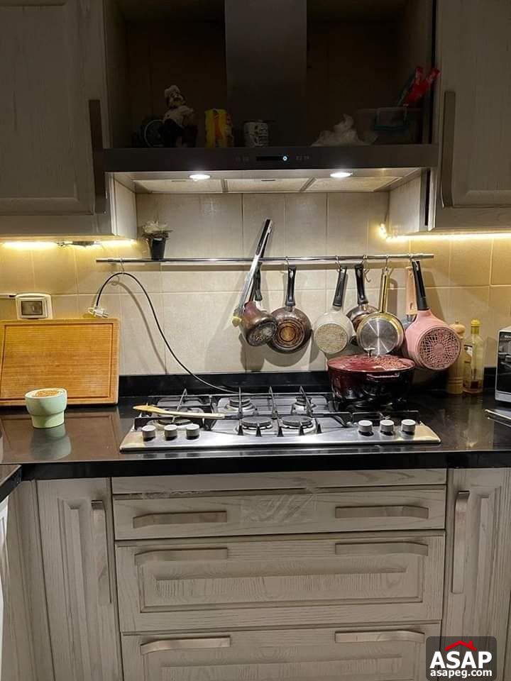 Furnished Apartment for Rent in Hyde Park Furnished Apartment for Rent in Hyde Park