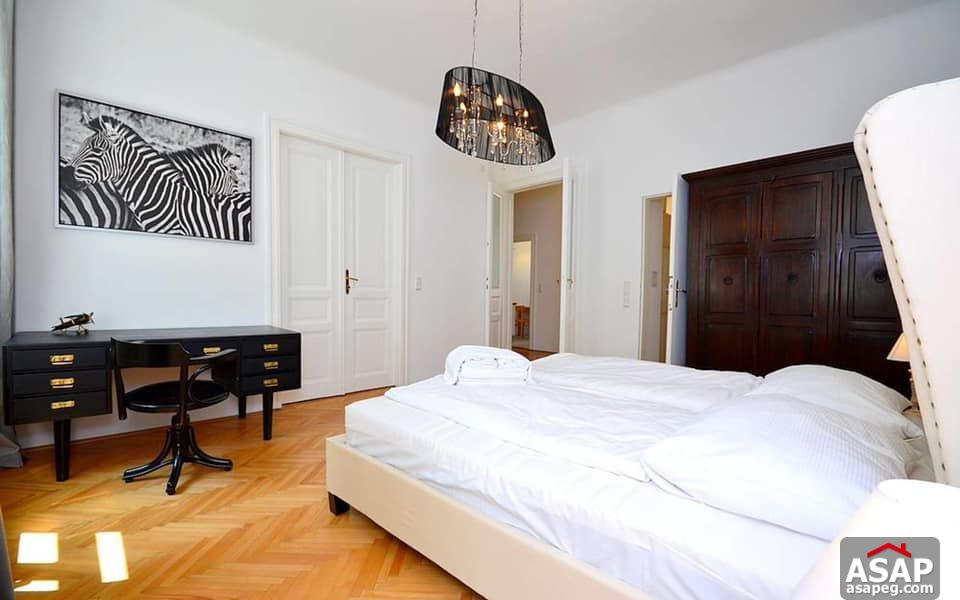 Furnished Flat for Rent in Zamalek Furnished Flat for Rent in Zamalek