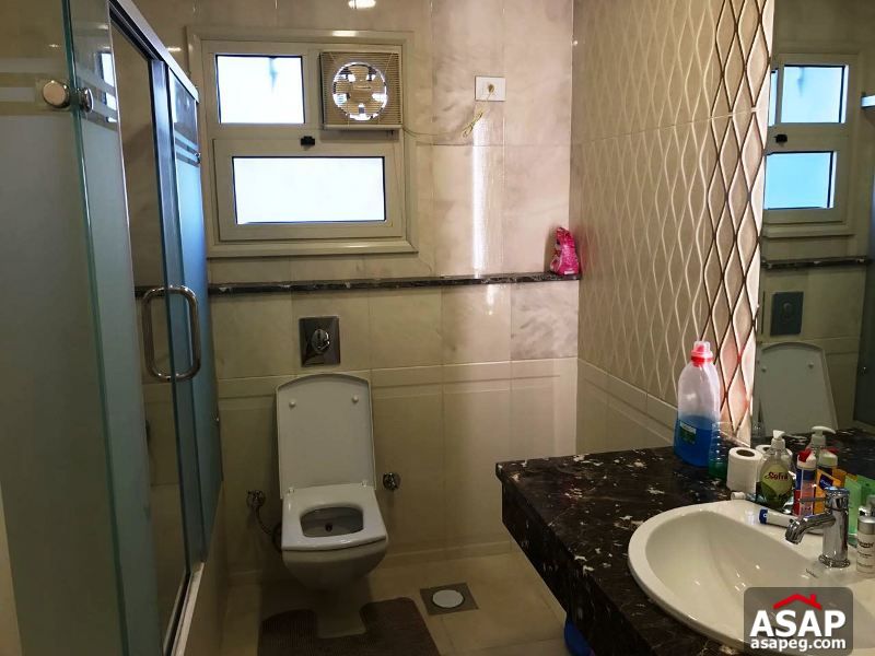 Apartment for Rent in Mohandiseen Apartment for Rent in Mohandiseen