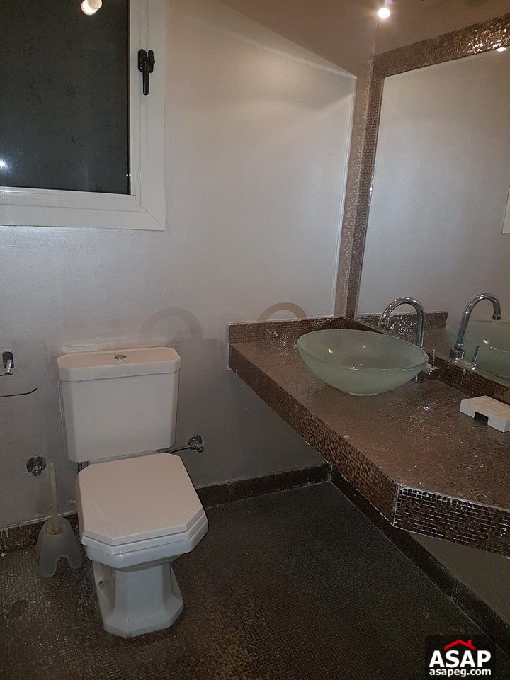 Apartments for Rent in Zamalek