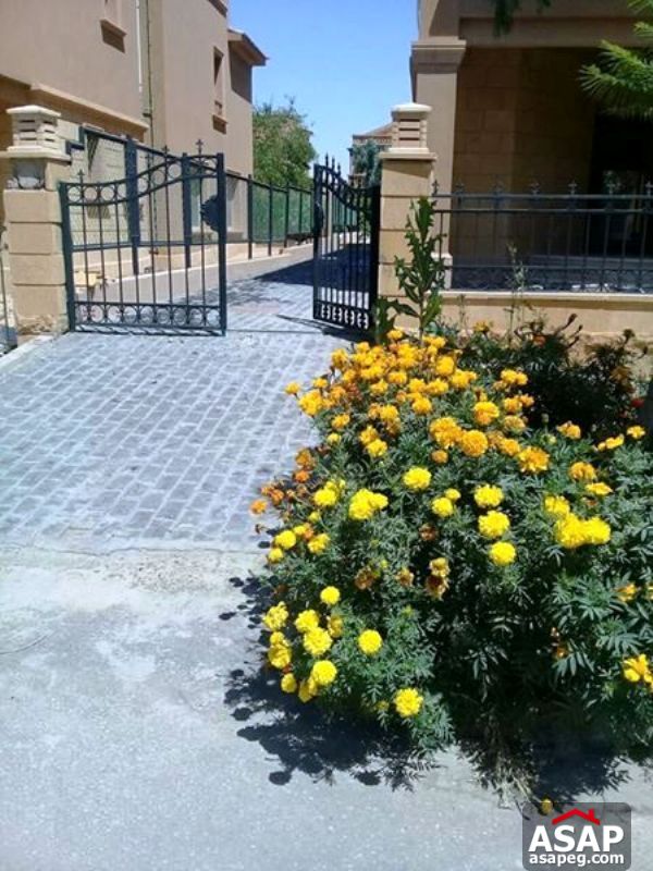 Villa with Garden for Rent in Bellagio - New Cairo Villa with Garden for Rent in Bellagio - New Cairo