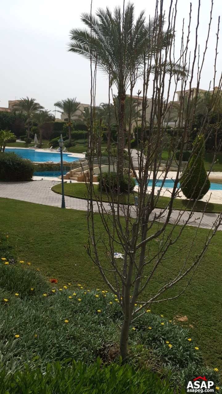 Stand Alone with Lake View for Rent in El Patio Compound Stand Alone with Lake View for Rent in El Patio Compound