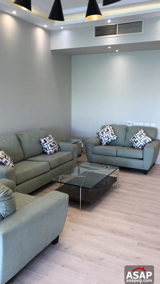 Twin House for Rent in Palm Hills - 6 October