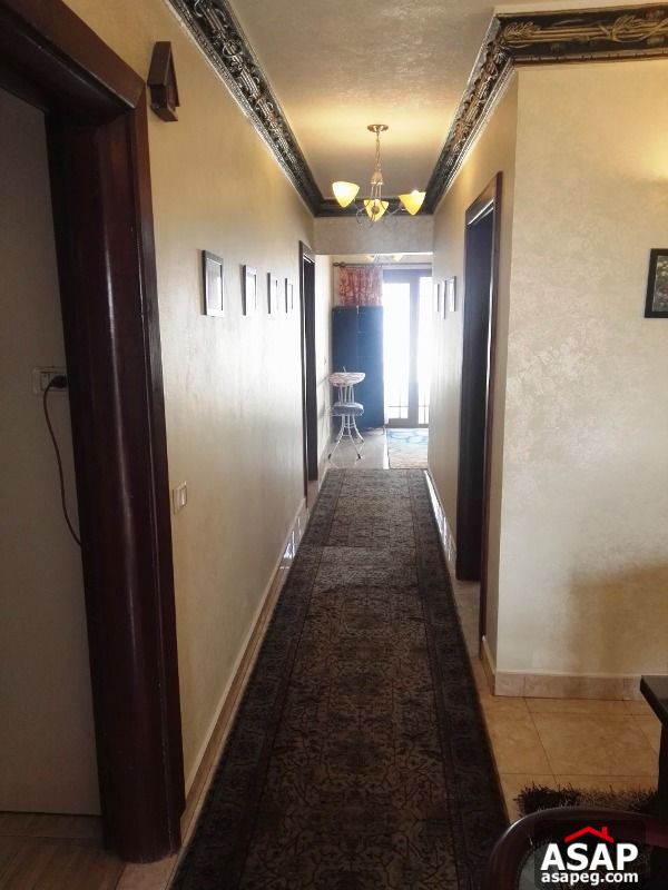 Roof for Rent in Diplomats Compound Roof for Rent in Diplomats Compound