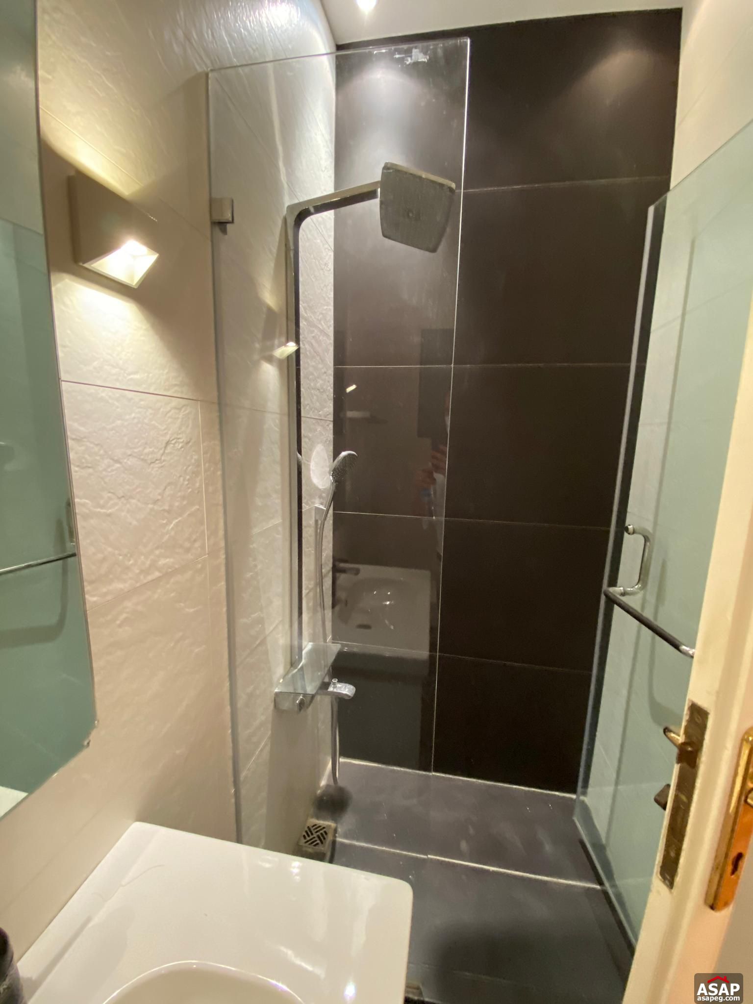 Apartment for Rent in Zamalek Apartment for Rent in Zamalek