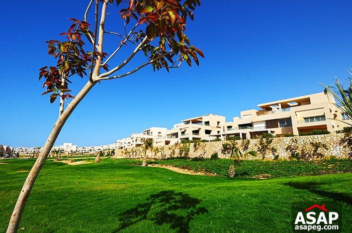 Chalet super lux with garden in Hacienda bay