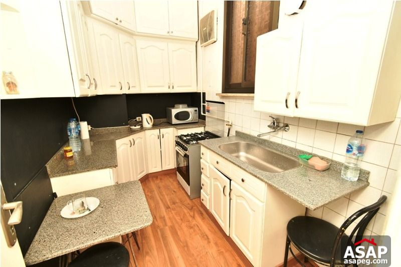 Apartment for Rent in Zamalek Apartment for Rent in Zamalek