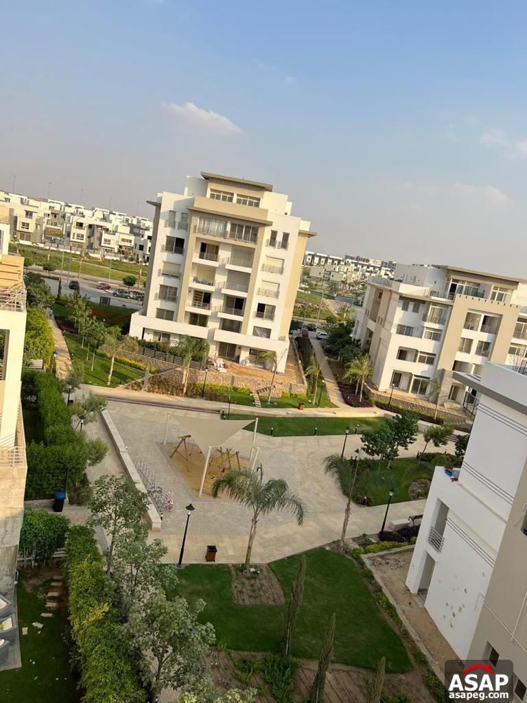 Furnished Apartment for Rent in Hyde Park Furnished Apartment for Rent in Hyde Park