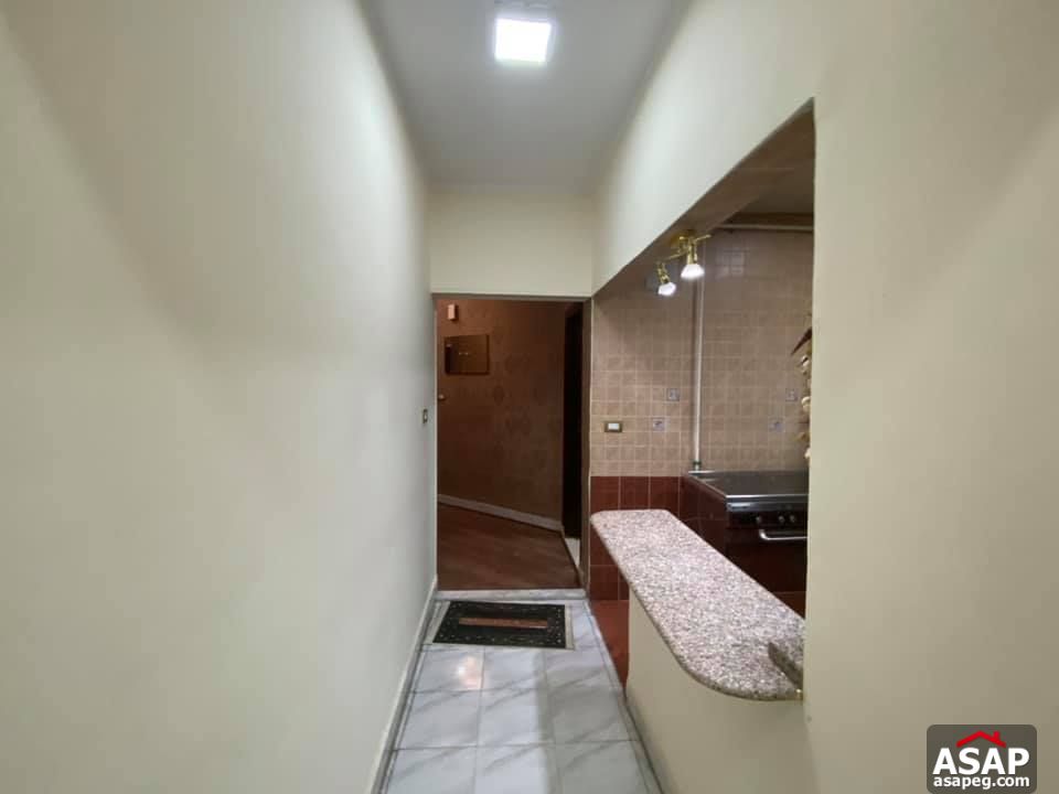 Flats for Rent in Zamalek Flats for Rent in Zamalek