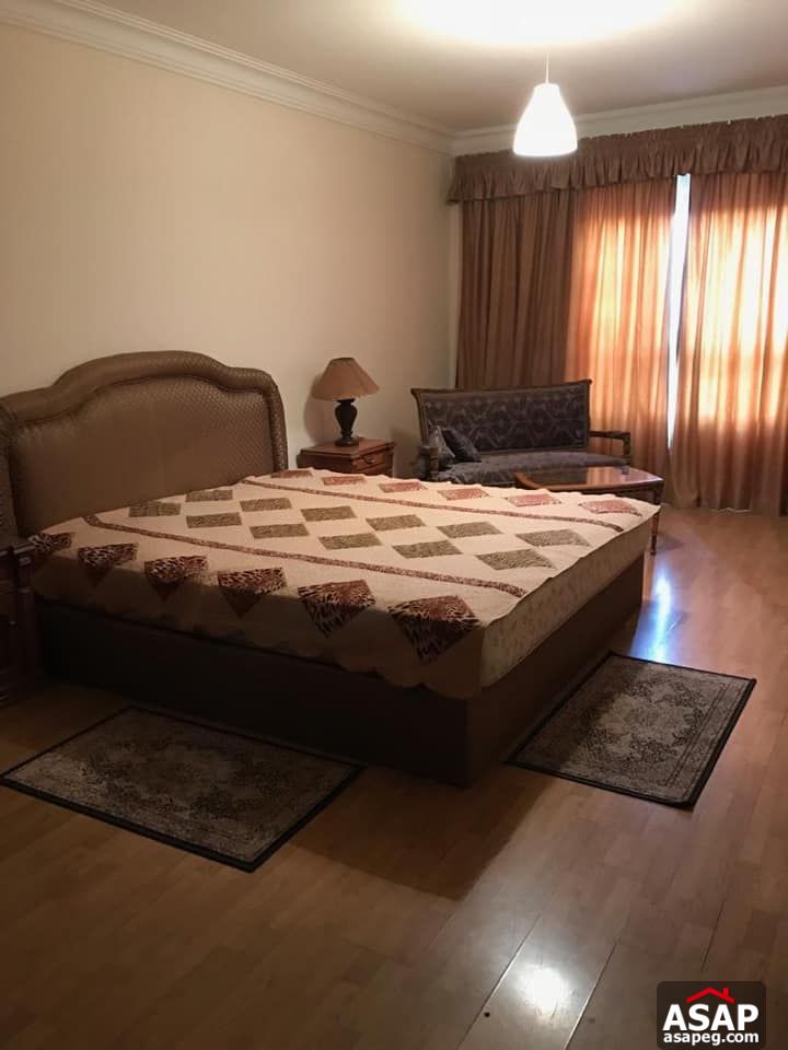 Apartment for Rent in Zamalek Apartment for Rent in Zamalek