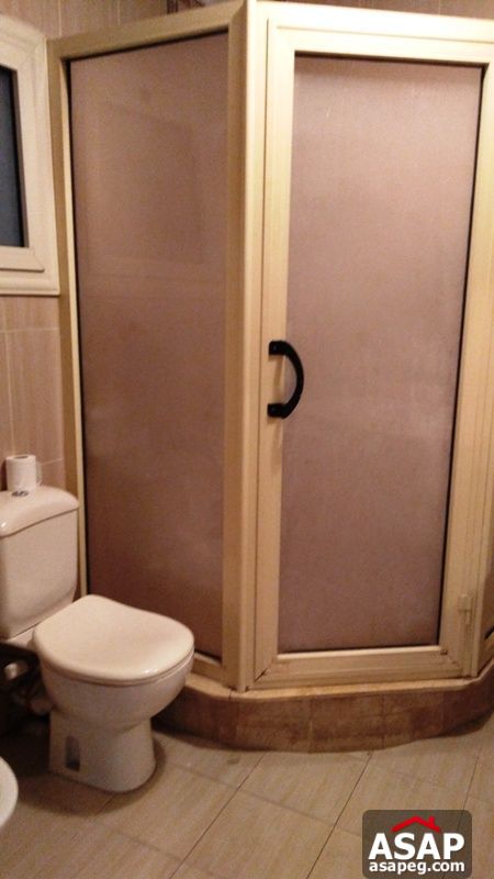 Apartment with Terrace for Rent in Zamalek Apartment with Terrace for Rent in Zamalek