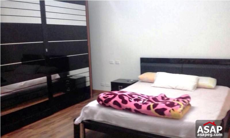 Furnished Apartment for Rent in Mohandiseen Furnished Apartment for Rent in Mohandiseen