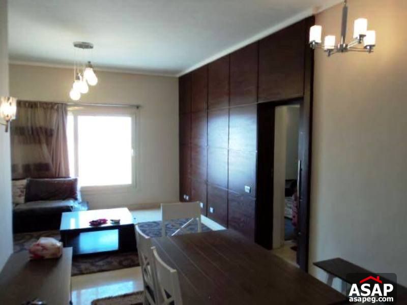 Furnished Studio for Rent in the Village - New Cairo Furnished Studio for Rent in the Village - New Cairo