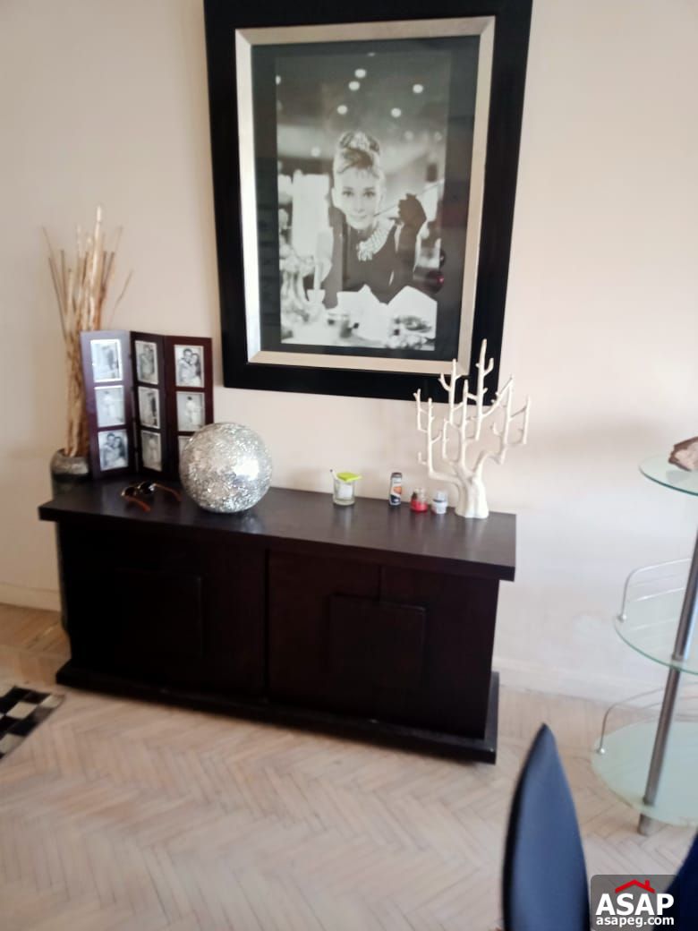 Fully Furnished Apartment in Zamalek for Rent Fully Furnished Apartment in Zamalek for Rent