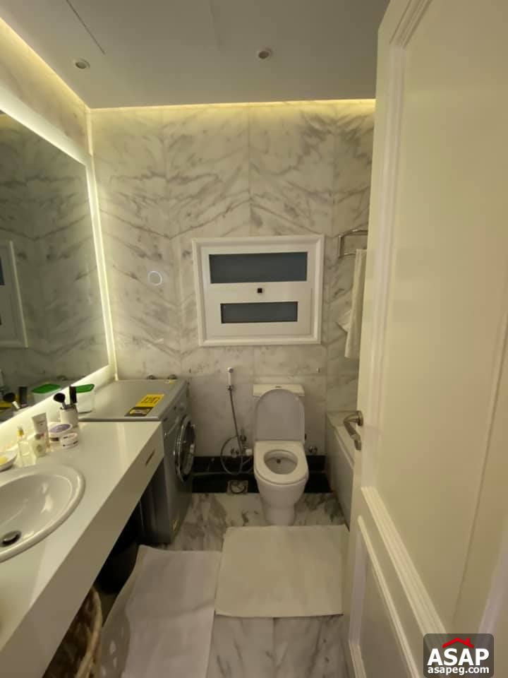 Apartment for Rent in Zamalek Apartment for Rent in Zamalek