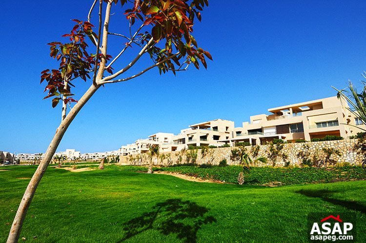 stand alone in Hacienda bay prime location