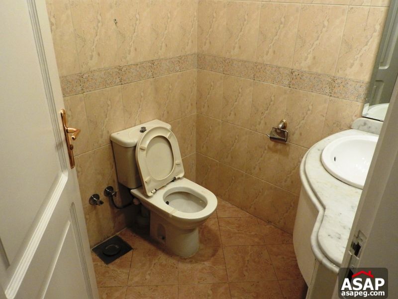 Penthouse for Rent in Maadi