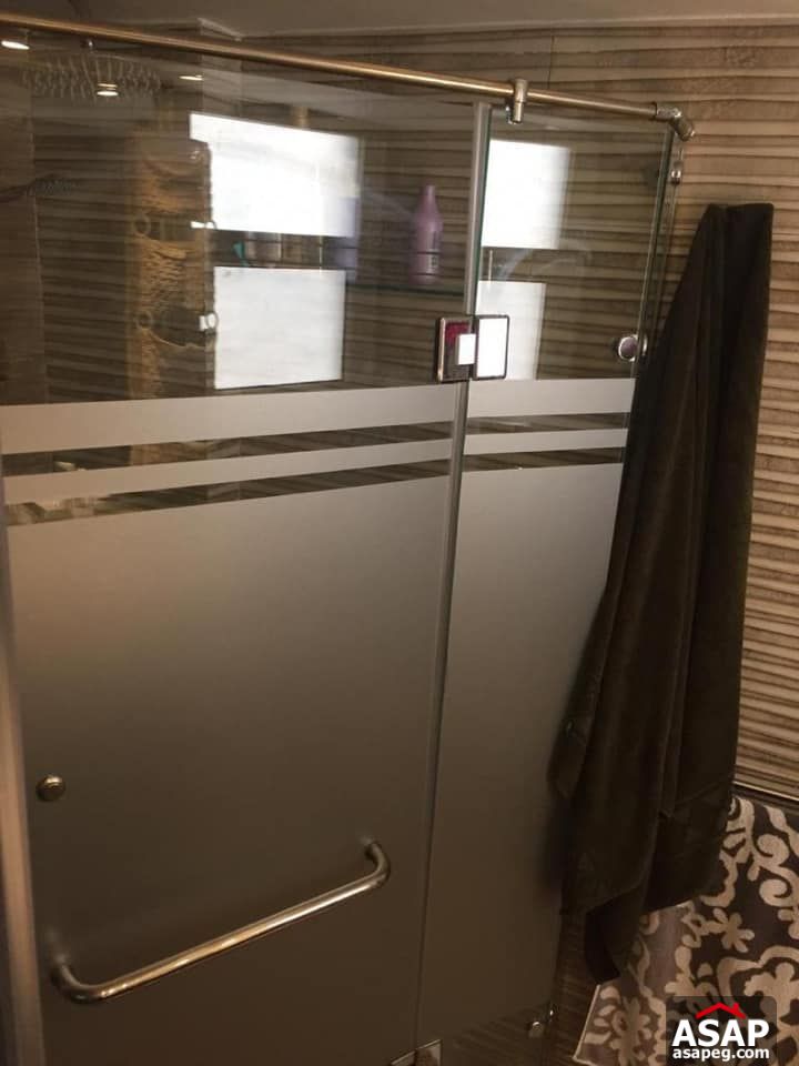 Furnished Flat for Rent in Zamalek Furnished Flat for Rent in Zamalek