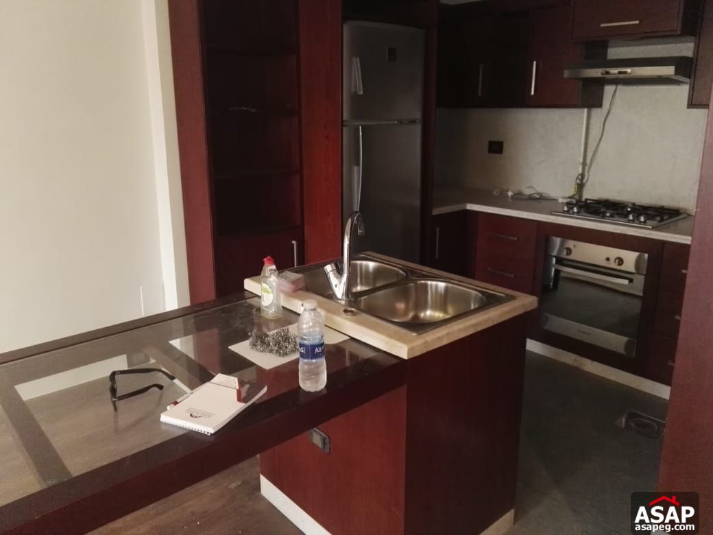 Apartment for Rent in Zamalek Apartment for Rent in Zamalek