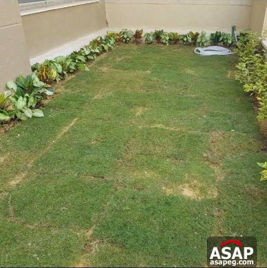 Studio with Garden for Rent in the Village - New Cairo Studio with Garden for Rent in the Village - New Cairo