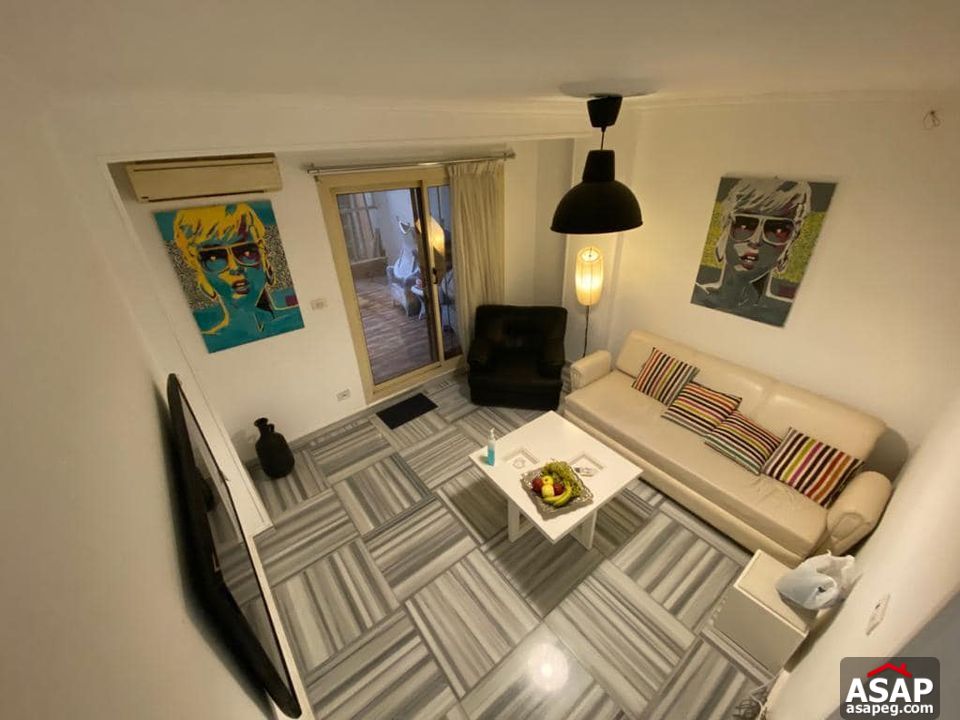 Furnished Apartment for Rent in Zamalek
