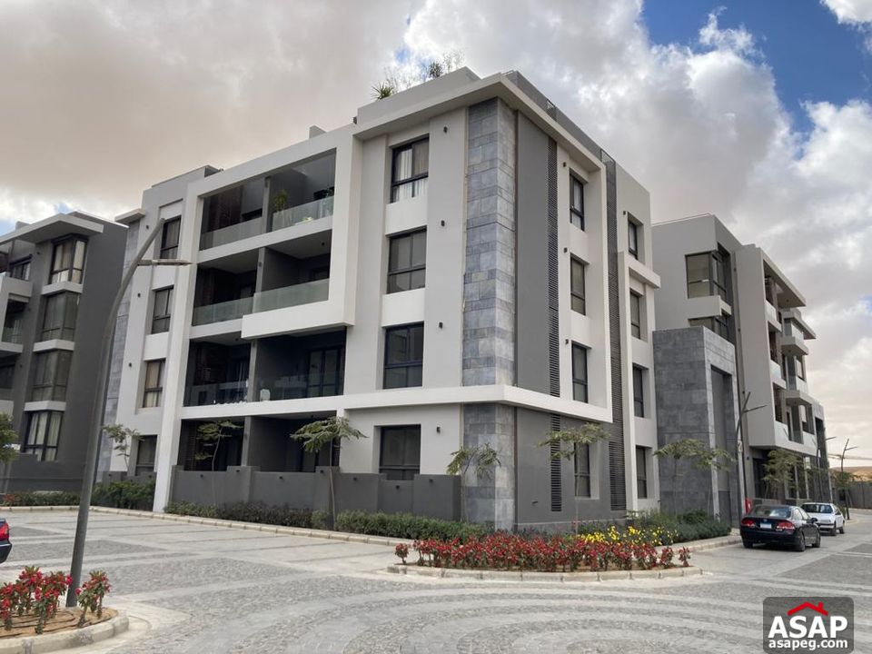 Apartment for Rent in Patio 7 Compound Apartment for Rent in Patio 7 Compound