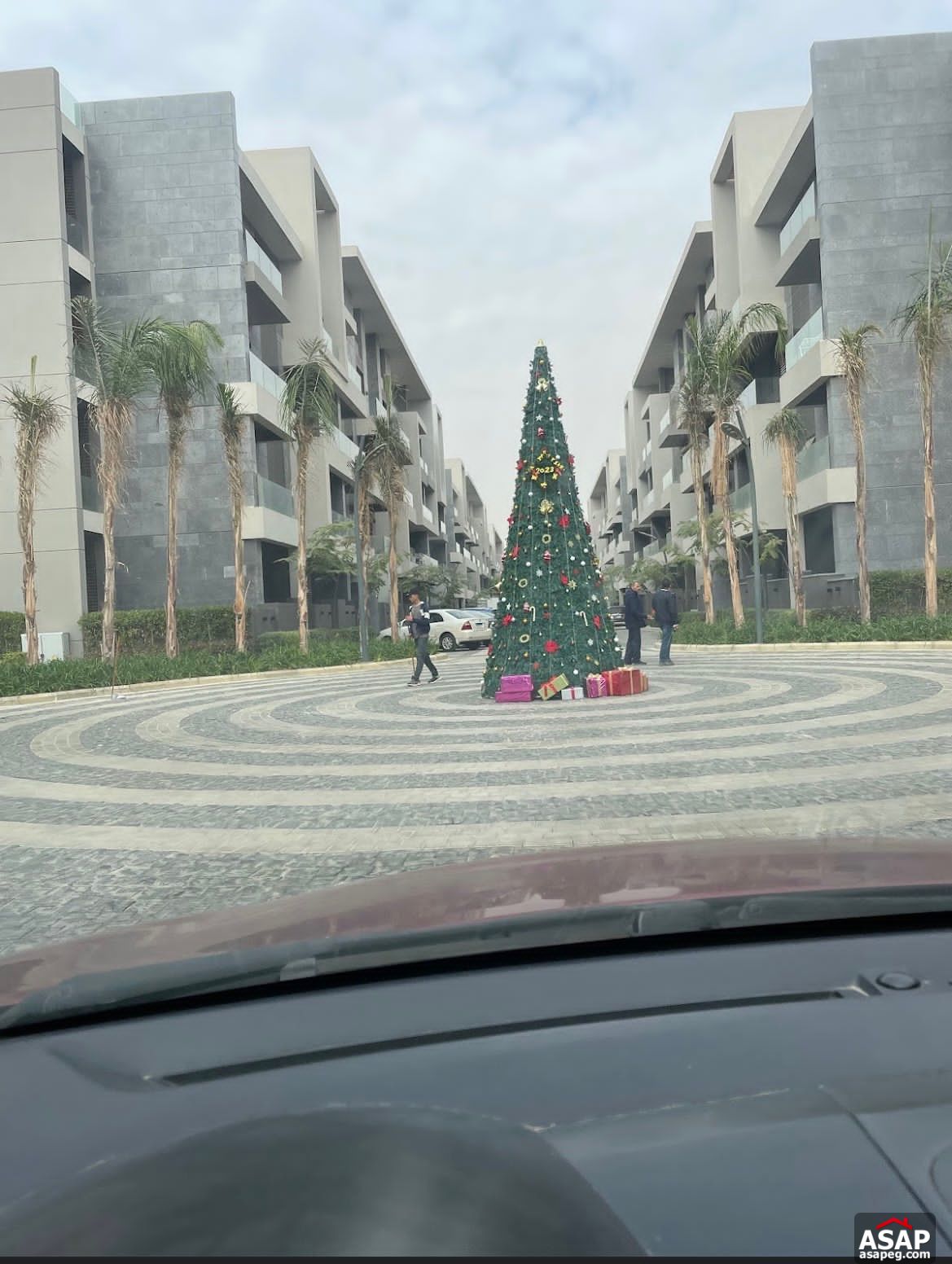 Penthouse for Rent in El Patio Casa Compound Penthouse for Rent in El Patio Casa Compound