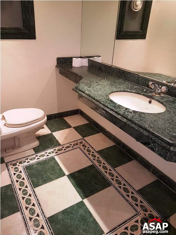 Duplex with Big Terrace for Rent in Zamalek