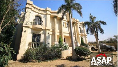 Stand Alone with Swimming Pool for Sale in Mirage City Stand Alone with Swimming Pool for Sale in Mirage City