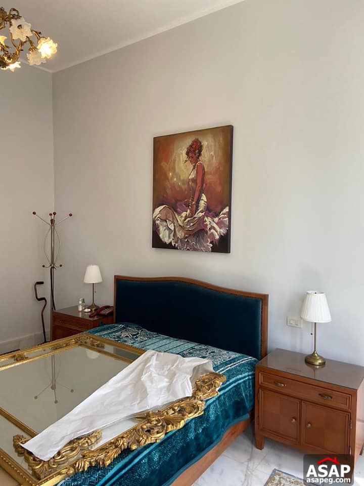 Apartment for Rent in Zamalek Apartment for Rent in Zamalek