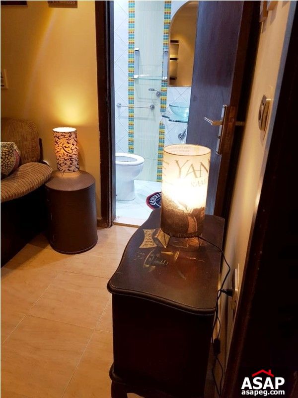 Furnished Studio in Zamalek for Rent Furnished Studio in Zamalek for Rent