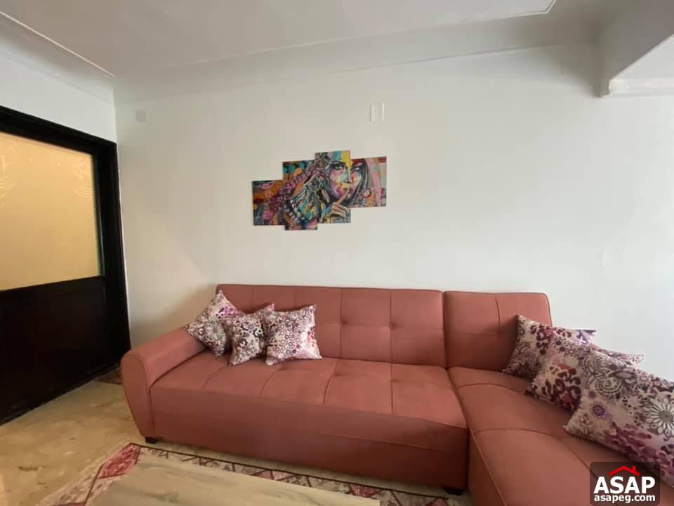 Apartment with Nile View for Rent in Zamalek Apartment with Nile View for Rent in Zamalek