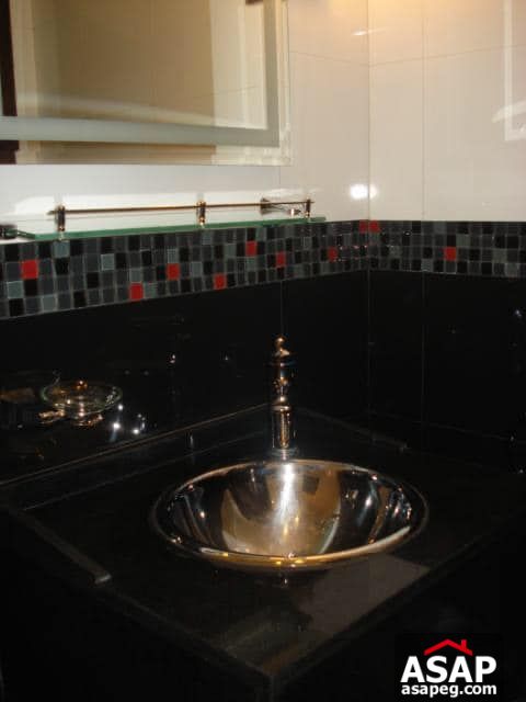 Apartment for Rent in Zamalek Apartment for Rent in Zamalek