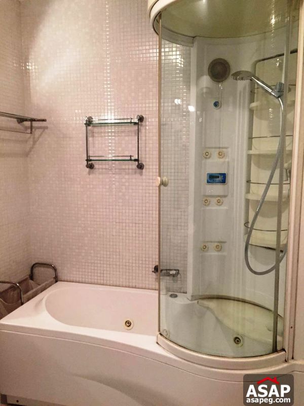 Apartment for Rent in Zamalek Apartment for Rent in Zamalek