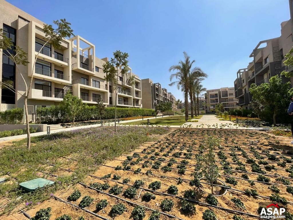 Apartment for Sale in Fifth Square Apartment for Sale in Fifth Square