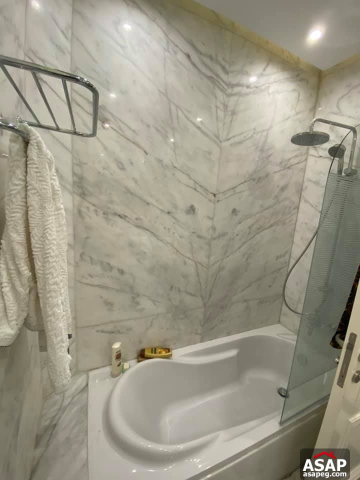 Apartment for Rent in Zamalek Apartment for Rent in Zamalek