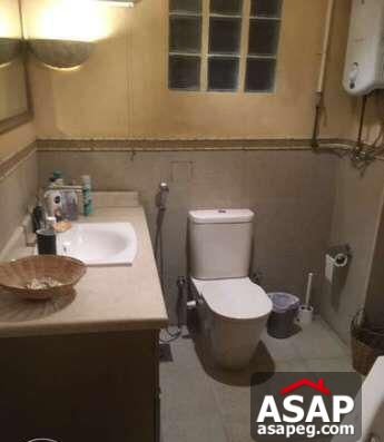 Furnished Apartment for Rent in Zamalek