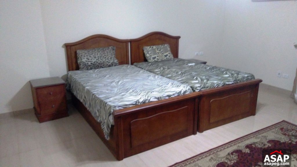 Furnished Apartment with Big Kitchen for Rent in Zamalek