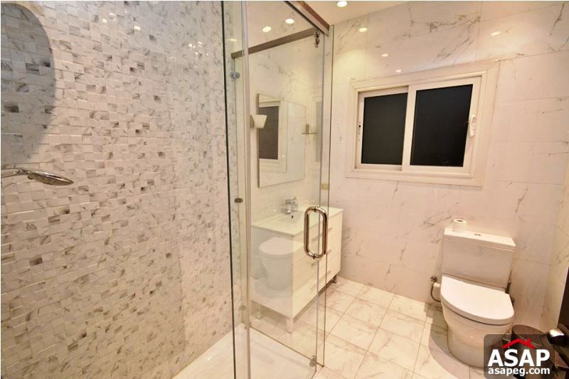 Modern Falt in Zamalek for Rent Modern Falt in Zamalek for Rent