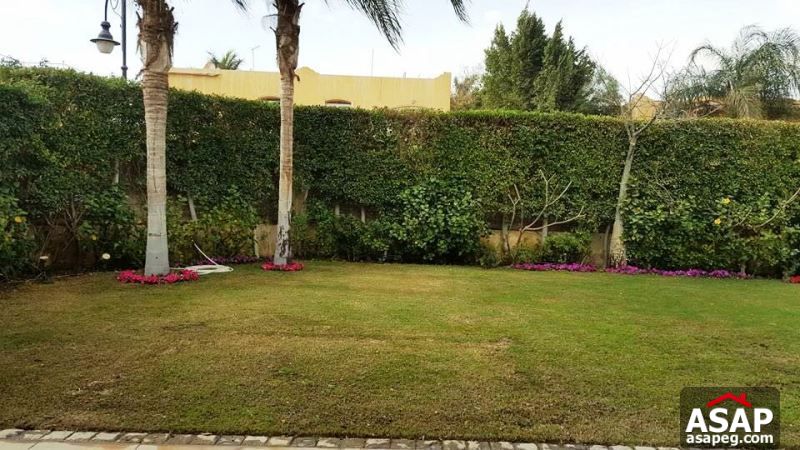 Villa for Rent in Sheikh Zayed