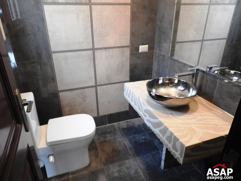 Modern Penthouse for Rent in Zamalek Modern Penthouse for Rent in Zamalek