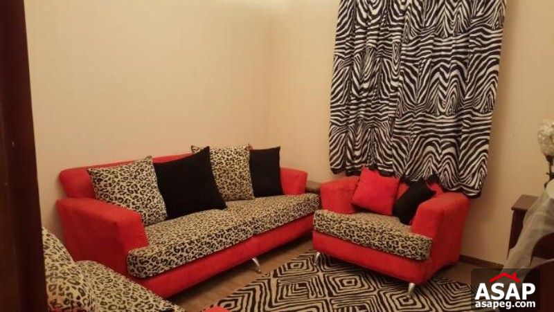 Furnished Apartment in Maadi Degla