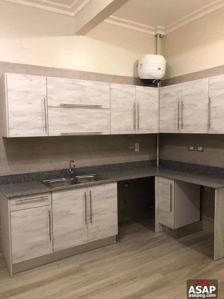 Apartment for Rent in Zamalek Apartment for Rent in Zamalek