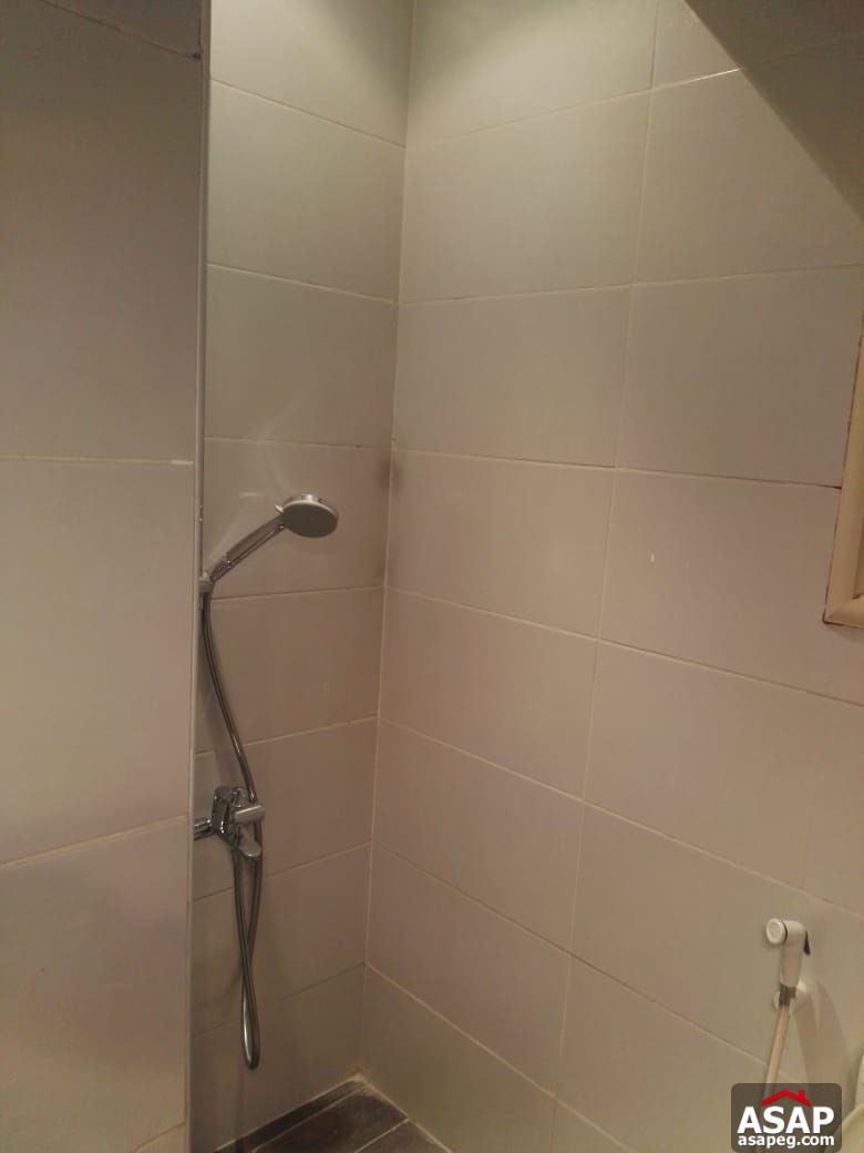 Apartment for Rent in Zamalek Apartment for Rent in Zamalek