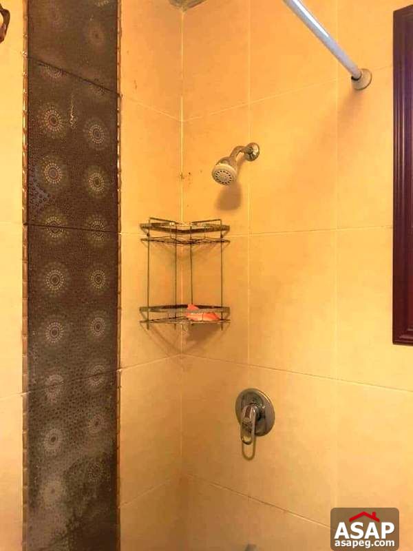 Furnished Apartment for Rent in Maadi Degla