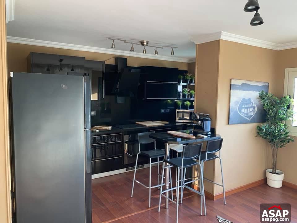 Flat with Nile View for Rent in Zamalek